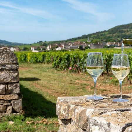 Charmante Maison Climatisee Avec Son Jardin A 10 Minutes De Dijon Marsannay-la-Côte Exterior foto